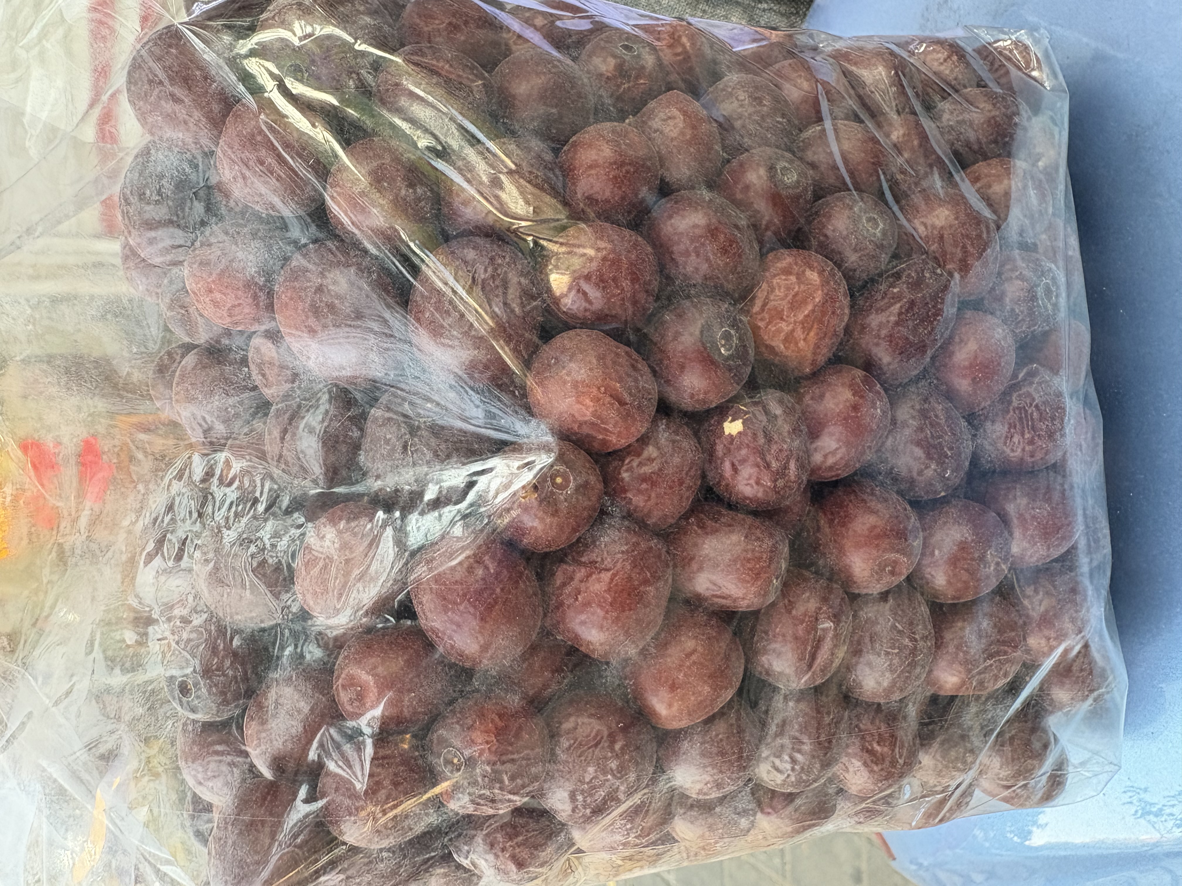 عناب بیرجند